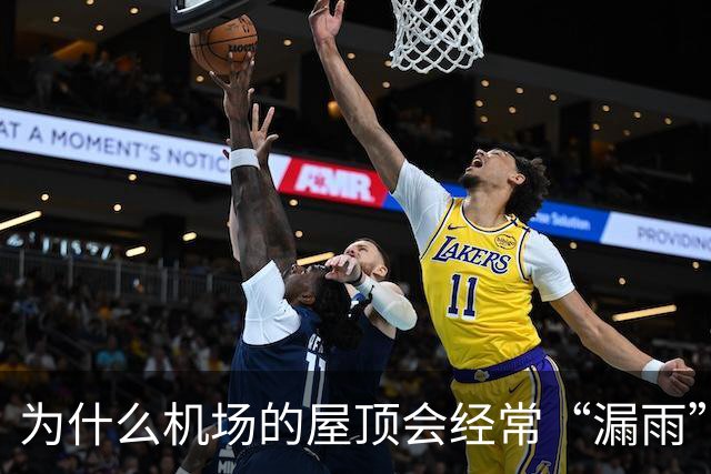 为什么机场的屋顶会经常“漏雨”？用“苔藓”来接漏水也不过是“缓解下旅客心情”而已！