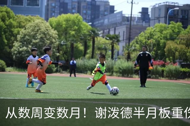 从数周变数月！谢泼德半月板重伤报销，后场彻底无人可用，真惨