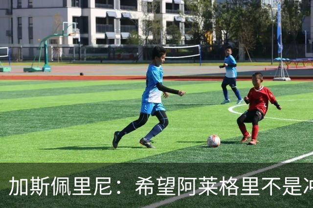 加斯佩里尼：希望阿莱格里不是冲我生气，把他罚下的可不是我