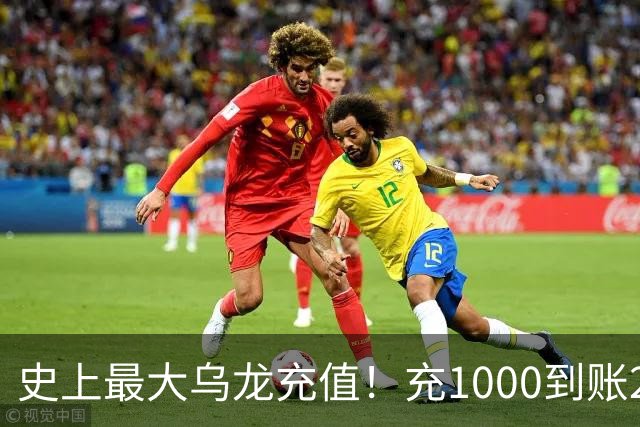 史上最大乌龙充值！充1000到账2641万亿，店主20天花了25万