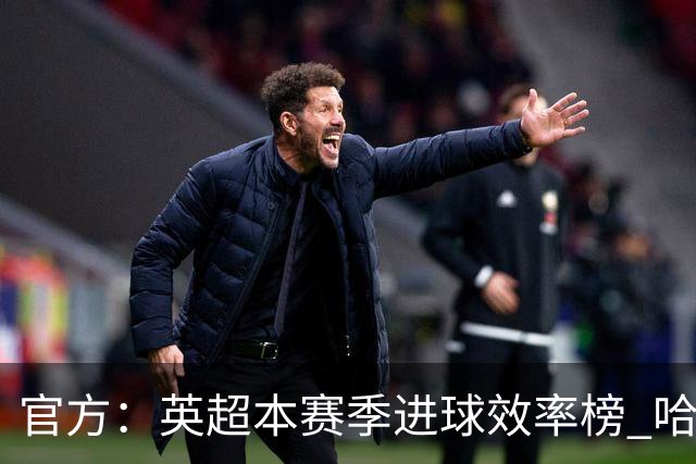 官方：英超本赛季进球效率榜 哈兰德第二杜兰第一