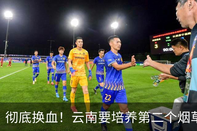 彻底换血！云南要培养第二个烟草产业，它够格接棒吗？