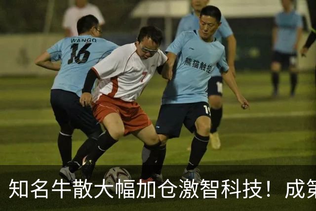 知名牛散大幅加仓激智科技！成第三大股东