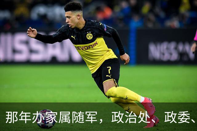 那年办家属随军，政治处、政委、干部科，每个门都进了，都让等…