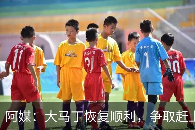 阿媒：大马丁恢复顺利，争取赶上11月阿根廷队比赛