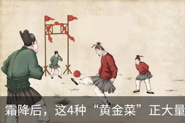 霜降后，这4种“黄金菜”正大量上市，农残少还便宜，鲜嫩营养高，比吃萝卜白菜还养人！