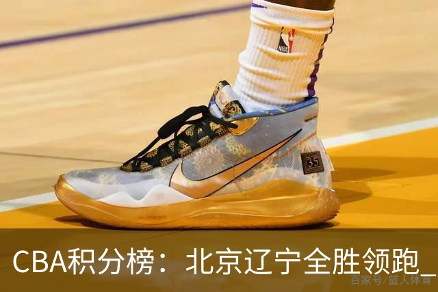 CBA积分榜：北京辽宁全胜领跑 两支球队未尝胜绩